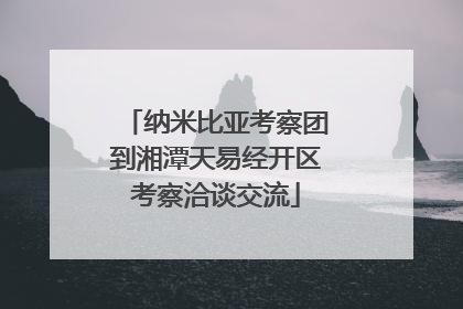 纳米比亚考察团到湘潭天易经开区考察洽谈交流